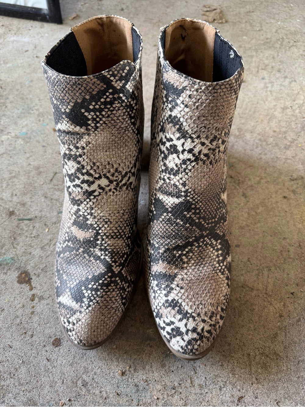 Maurices Snake-Print Ankle Boots in Black and Tan